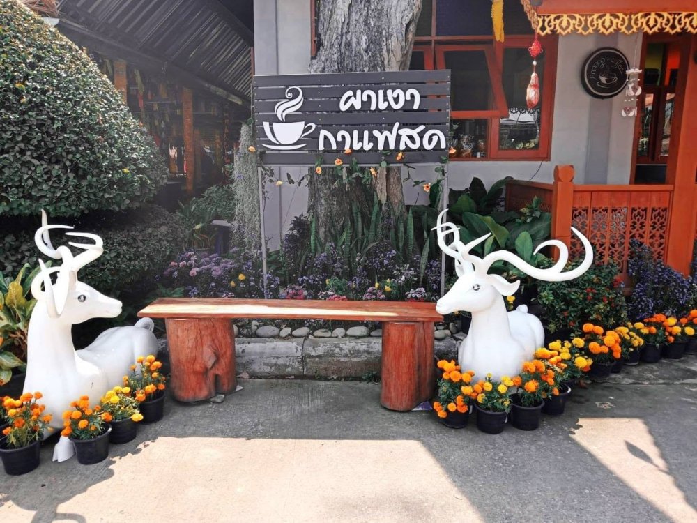 รูปที่ 6
