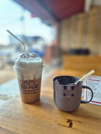 ฉ๊อหม่อ คอฟฟี่-บิงซู (กรีซ) คาเฟ่ลับบนดอยแม่สลอง ที่ต้องแวะถ้าไปเชียงราย