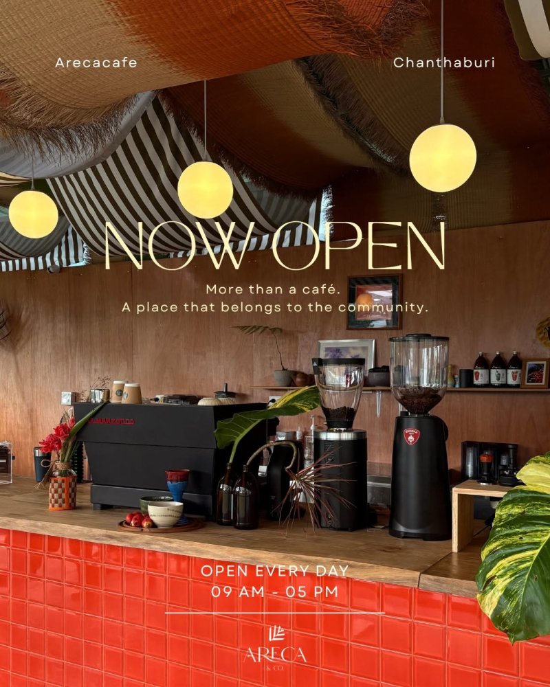 Areca & Co Cafe คาเฟ่กลางสวนหมาก บางสระเก้า จันทบุรี ที่ต้องไปเช็คอิน