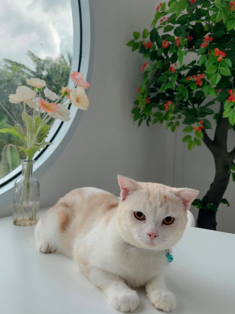 รูปที่ 4