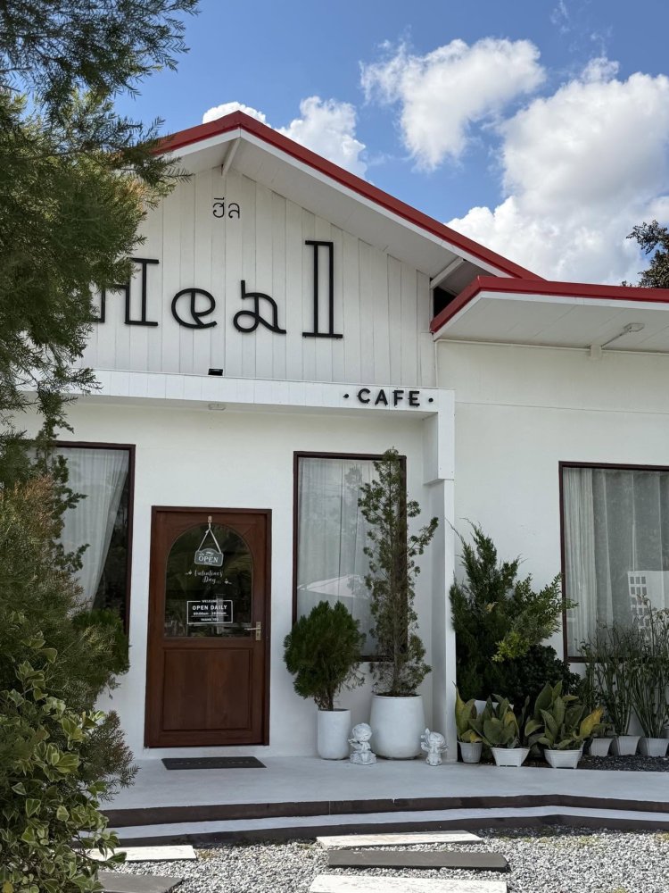 Heal.cafe - คาเฟ่แมวหนองคาย ที่น่ารักที่สุดในตัวเมือง
