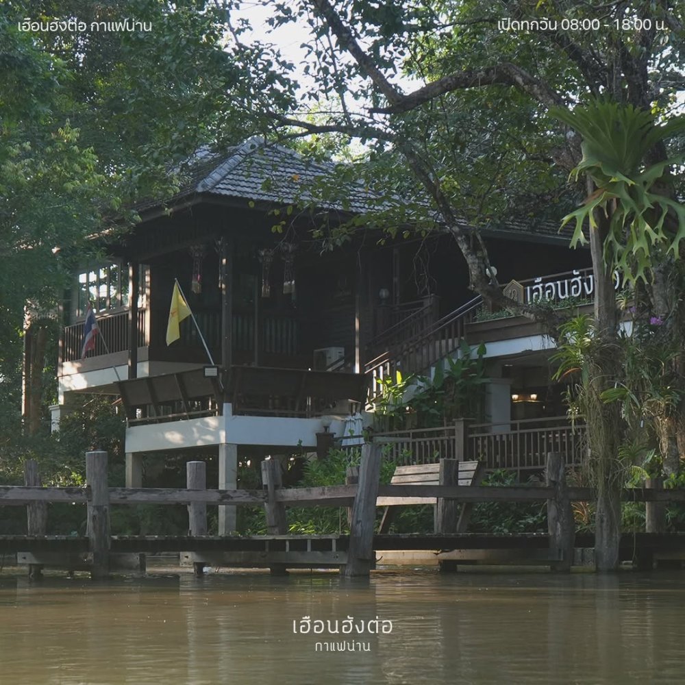 เฮือนฮังต่อ กาแฟน่าน - ป่าใหญ่ใจกลางเมืองที่ต้องหลงรัก