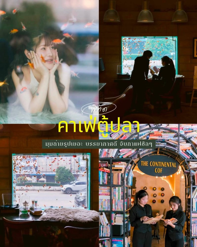 The Continental Cof - คาเฟ่ดีๆ หน้าสรรพากรเชียงราย ที่ต้องแวะ! มาดูปลาเพลินๆ อ่านหนังสือชิลๆ