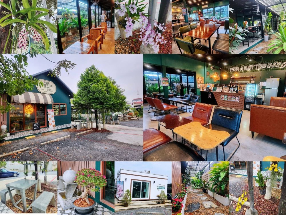 คาเฟ่สีเขียวกลางสวนเฟิร์น ที่อยากให้แวะมาทุกวัน ???? For A Better Day Café