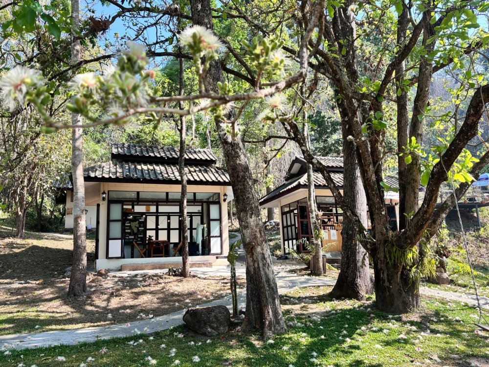 สายธารขุนแจ coffee - คาเฟ่ริมทาง 118 ที่ต้องแวะ!