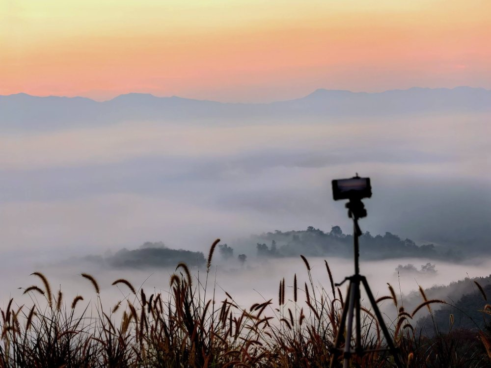 รูปที่ 2