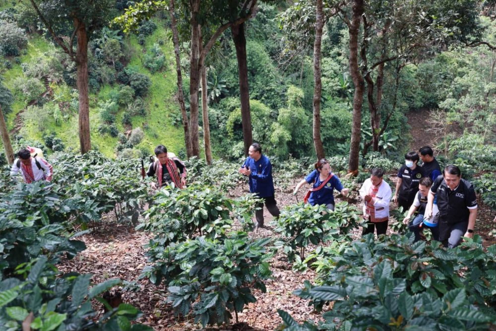รูปที่ 2