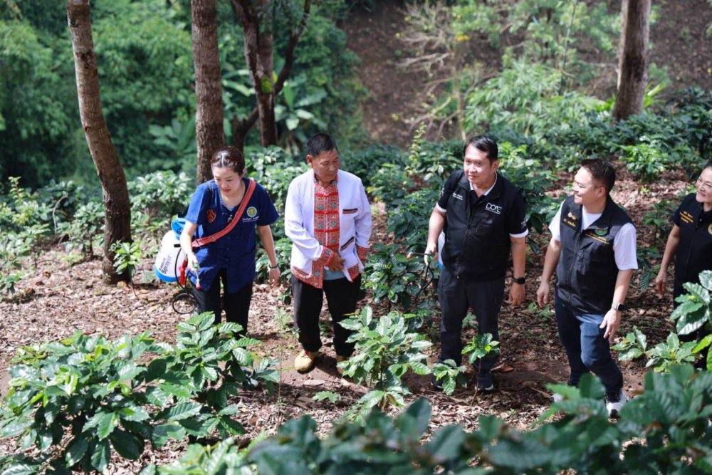 รูปที่ 4