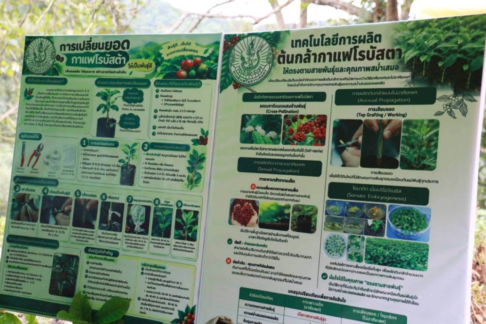 รูปที่ 9