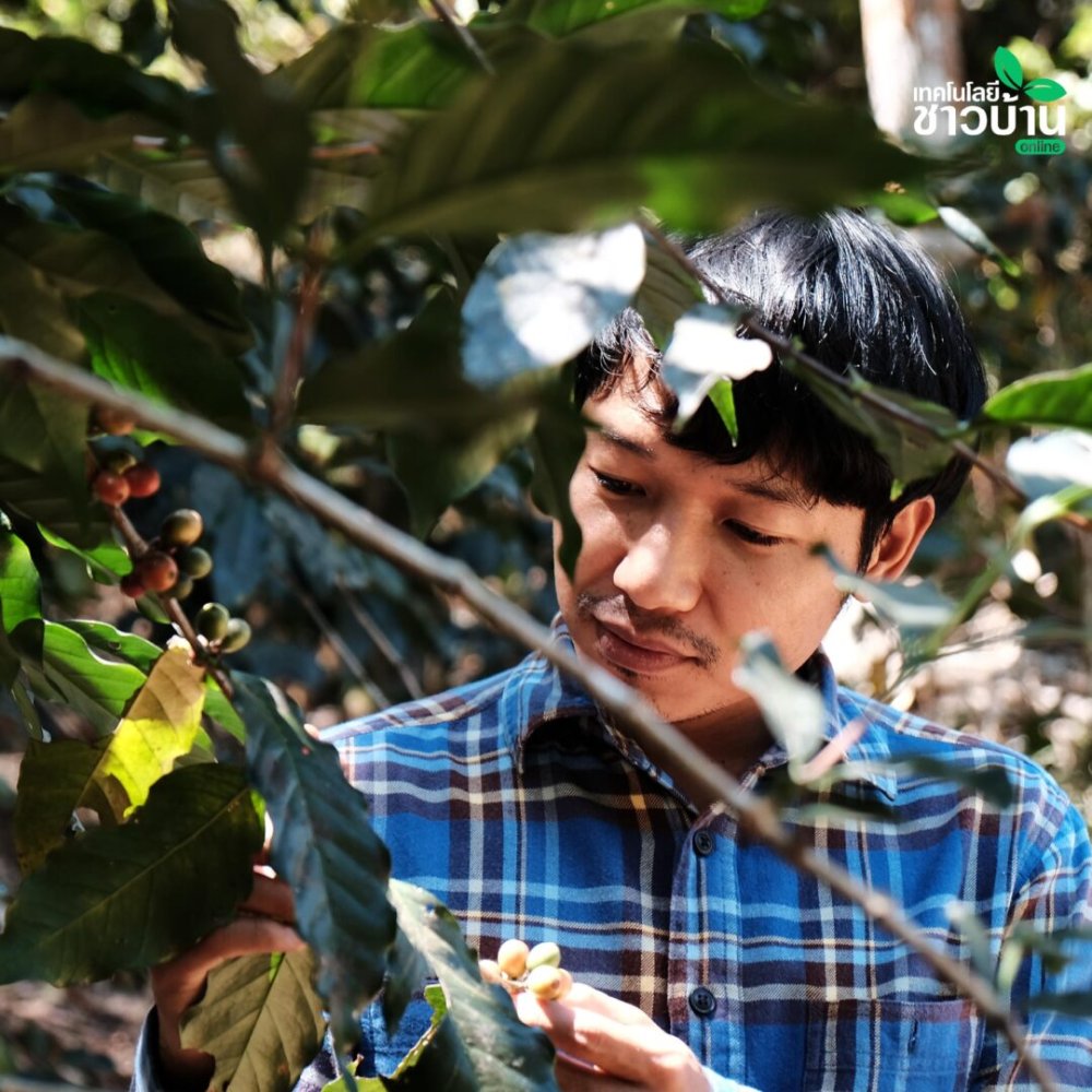 Akha Ama: กาแฟไทยไม่ต้องแข่งเยอะ แต่แข่งที่ "คุณค่า" ก็ไปไกลถึงโตเกียวได้